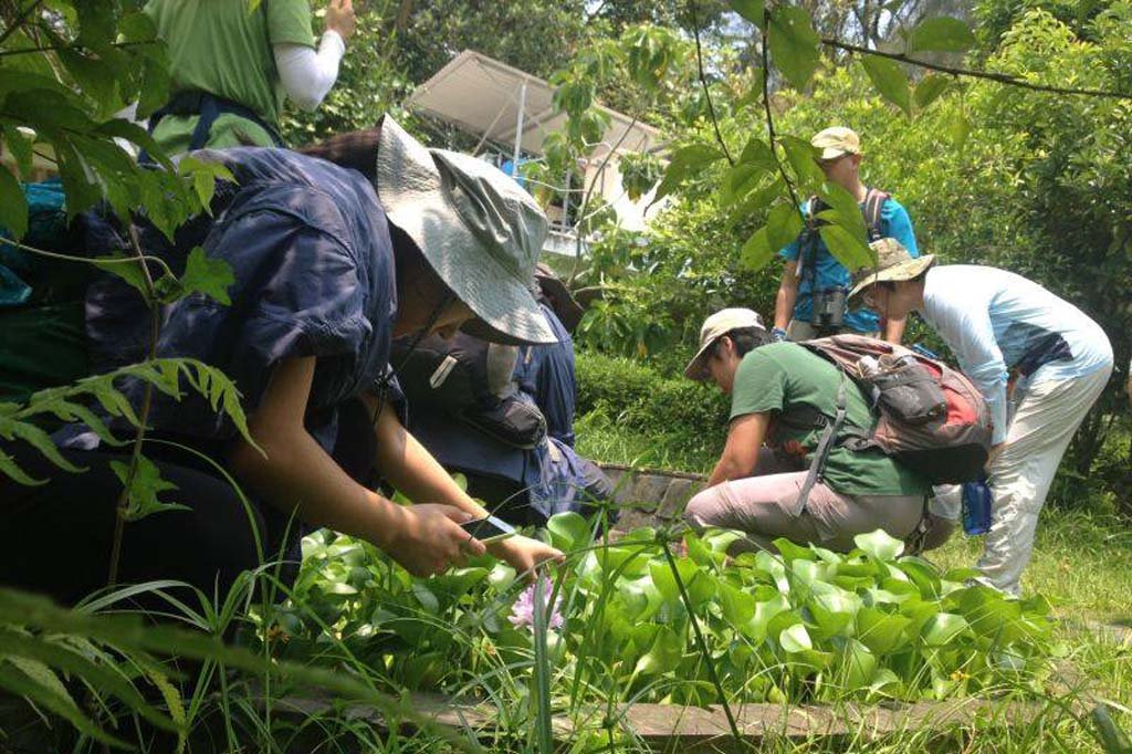 14370197_699068936910575_5556534854382064962_n-min